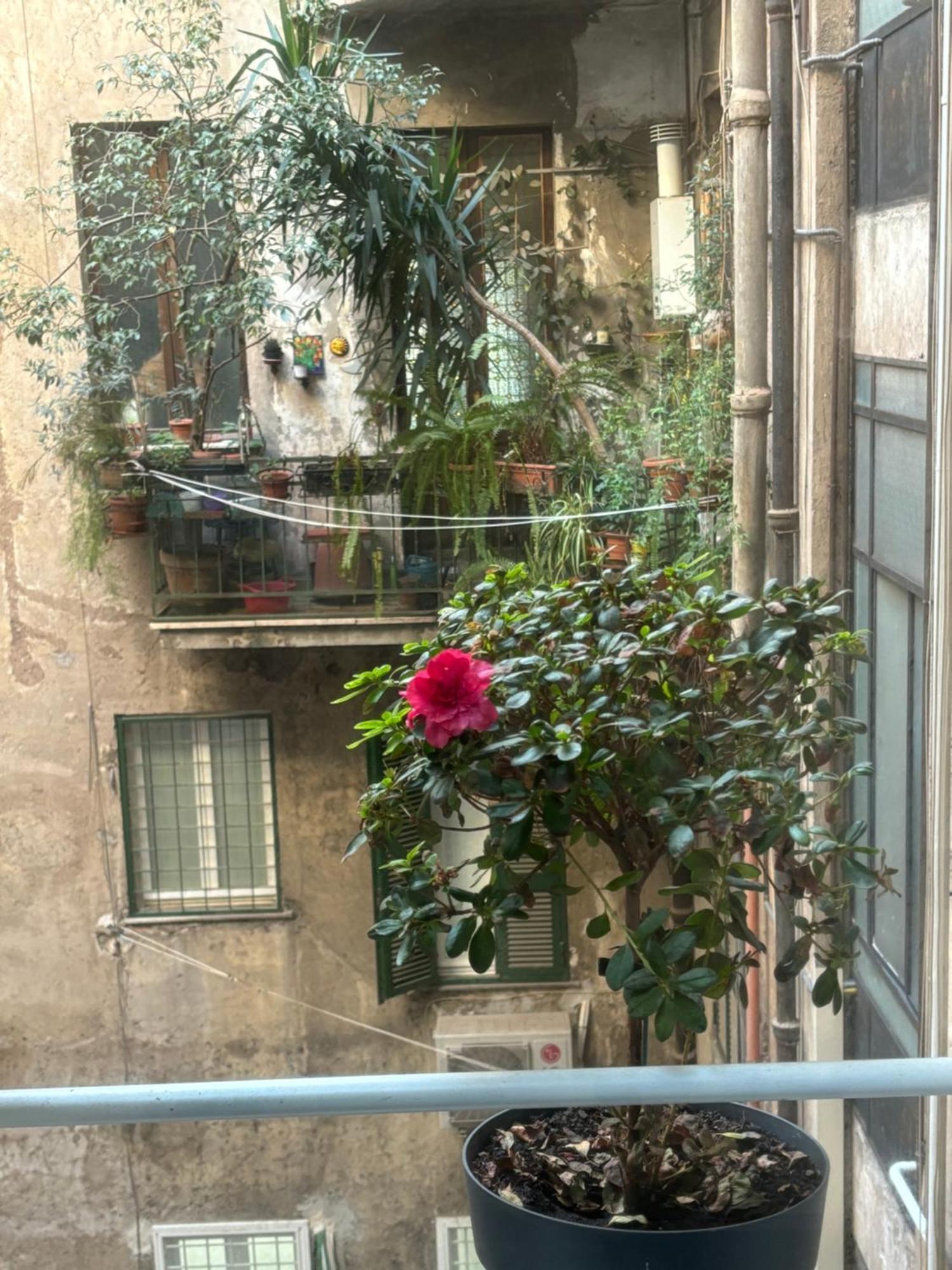 Art Lab Residence Rome Buitenkant foto